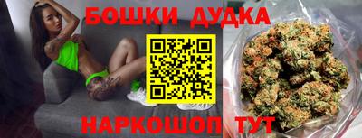 стаф Будённовск