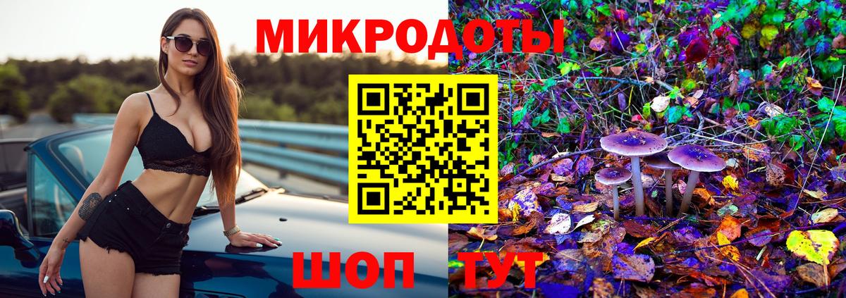 Полевской  Псилоцибиновые грибы Psilocybine cubensis  Вход с VPN 