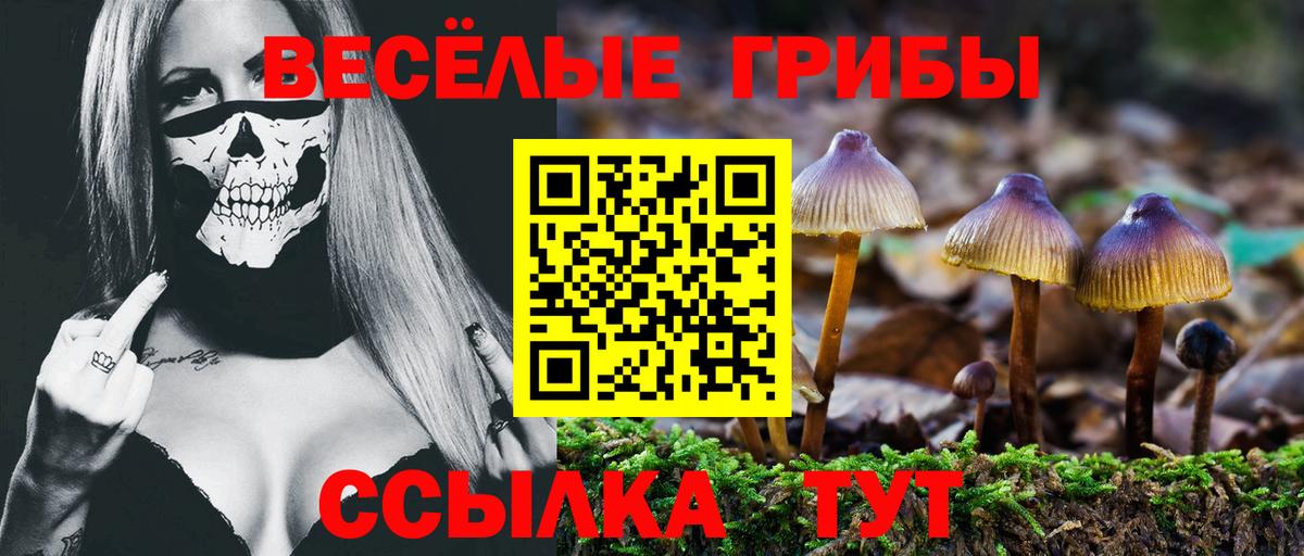 MDMA  Вход с VPN  МЕФ кристаллы  ЭКСТАЗИ  Полевской  Гашиш  Каннабис  ГАШ 